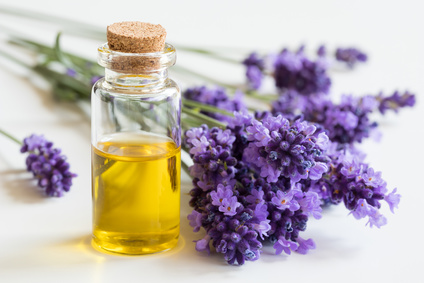 Lavender and Essential Oil-copyrighted image