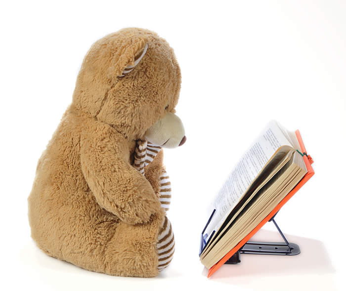 Teddy Bear Reading-copyrighted image/Fotolia.com