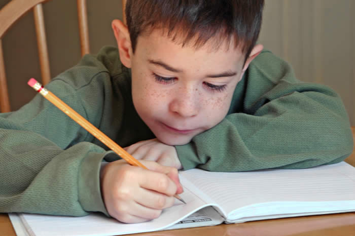 Homework Help-Child Writing in Notebook