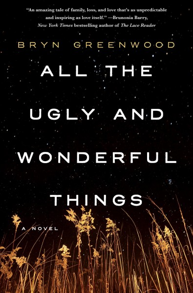 All the Ugly and Wonderful Things Book Cover
